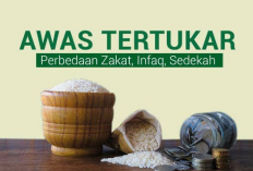 Kenali Perbedaan Zakat dan Sedekah agar Ibadah Lebih Berkah