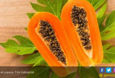 5 Buah Tinggi Kandungan Vitamin C untuk Metabolisme Tubuh yang Lebih Baik