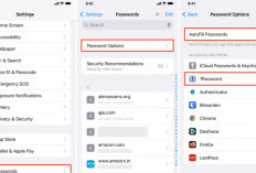 Fitur Autofill Kartu Kredit di iPhone iOS 16, Belanja Lebih Cepat