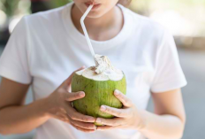 Manfaat Optimal Minum Air Kelapa, Waktu dan Cara yang Tepat