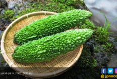 5 Khasiat Jus pare Campur Jeruk Nipis, Wanita Pasti Suka