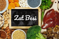 Pentingnya Asupan Zat Besi Untuk Cegah Anemia pada Anak