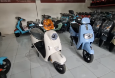 Perbandingan Sepeda Listrik Uwinfly T65L vs T70L