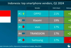 7 HP Terpopuler Akhir Tahun 2024 yang Paling Banyak Diburu!