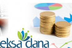 3 Kesalahan Berinvestasi Reksa Dana, Pemula Wajib Tahu!