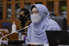 Soal Kabar 700 Ribu Anak Papua Tak Sekolah, Legislator PKS Singgung Utang Sejarah