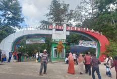 Target PAD Objek Wisata 2025, Air Putih Naik, Pulau Harapan Turun