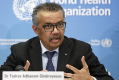 WHO Tetapkan Darurat Global usai Ebola Langka Landa Kongo, Puluhan Tewas