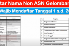 Daftar Nama Non-ASN Peserta PPPK 2024 Gelombang 1: Wajib Mendaftar 1-20 Oktober 2024