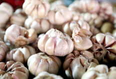 5 Manfaat Bawang Putih, Bantu Cegah Pembesaran Prostat