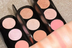 5 Rekomendasi Palette Eyeshadow Multifungsi