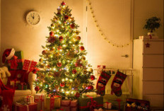 Identik Warna Hijau dan Merah,Ini  Arti Dekorasi Natal 