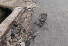 Dinas PUPR-Hub Pastikan Rekanan Perbaiki Jalan GOR-Salok dalam Sepekan