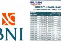 Begini Caranya Pengajuan Pinjaman KUR BNI 2025 Anda Disetujui