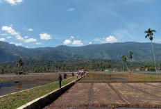 Petani Diminta Bersihkan Lahan, Musim Tanam Kedua Dipercepat