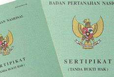 BPN Makassar Didesak Cabut SHGB yang Diduga Cacat Hukum