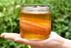  Manfaat Kombucha Pada Produk Skincare, Bisa Cerahkan Kulit!