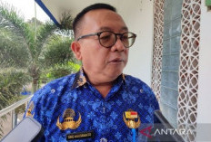 Info Terbaru Terkait Kuota CPNS 2024 Kota Bengkulu