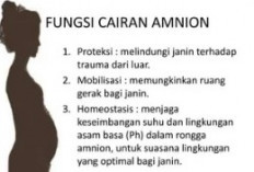 Mengapa Amnion Sangat Vital bagi Janin? Simak Penjelasannya!