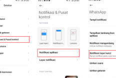Notifikasi WhatsApp Sering Telat Masuk? Ini Penyebabnya