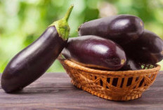 3 Bahaya Makan Terong Berlebihan, Tidak Baik untuk Ginjal