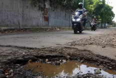 Korbankan Keselamatan, Pengamat Transportasi Nilai Pemangkasan Anggaran Pemeliharaan Jalan Tak Tepat