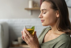 Waspada Ginjal Kotor! Bersihkan dengan 5 Minuman Herbal Ini