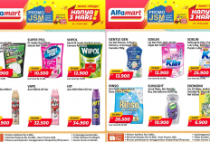 Jangan Sampai Lewat! Promo Alfamart Terbaru Akhir Pekan Ini: Sabun Cuci Pakaian Turun Harga Jadi Rp8 Ribuan