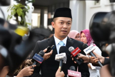 Penasihat Komisaris