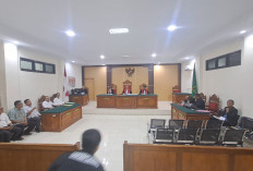 Sidang Perdana Tambang Emas Ilegal di Lebong, Bupati dan Pejabat Mangkir