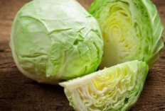 5 Manfaat Kubis, Lindungi Tubuh dari Serangan Penyakit Ini