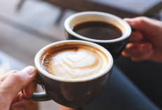 Ternyata Ini Cara Minum Kopi yang Bisa Perpanjang Umur Menurut Studi