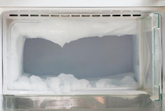 Simak, Mengapa Bunga Es Menumpuk di Freezer? Ini Penyebab dan Cara Mencegahnya