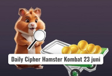 Pecahkan Kode 'POOL'! Daily Cipher Hamster Kombat 23 Juni