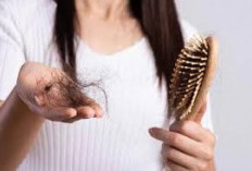 Rahasia Perawatan Rambut Rontok Dengan Lidah Buaya dan Minyak Kemiri