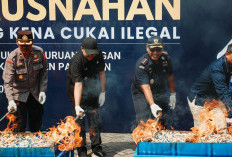 Beri Efek Jera, Bea Cukai Pasuruan Musnahkan BKC Ilegal Senilai Rp 11,3 Miliar