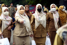 Honorer R2/R3, Peserta PPPK 2024 Tahap 2 Tidak Bisa Dituntaskan Tahun Ini, Nah