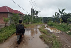 Hujan Melanda Jalan Desa Danau Liang Berubah Jadi Kubangan Kerbau