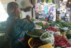 Pasca Lebaran, Harga Cabai Tidak Stabil