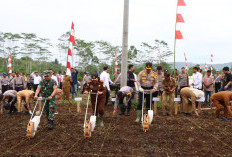 Program Nasional “Serentak 1 Juta Hektar”, Polres Lebong Sediakan 2 Hektare Lahan Bertanam Jagung 