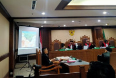 Sidang Sengketa Lahan Nikel di Haltim, Ahli Ungkap Indikasi Penambangan di Luar Batas