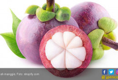 4 Bahaya Makan Buah Manggis Berlebihan, Penyakit Ini Bakalan Mengintai Anda