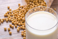 3 Susu Terbaik untuk Menurunkan Asam Lambung