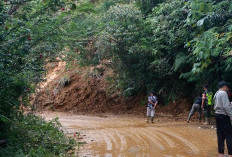 Longsor di Jalan Lebong-Curup Masih Hantui Pengendara