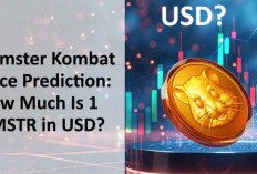 Harga Token HMSTR Naik Turun, Investor Hamster Kombat Wajib Waspada!