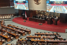 DPR Ketok Palu, RUU PFII Sah jadi Undang-undang