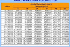 KUR BRI 2024, Modal Usaha Andal untuk Kembangkan Bisnis UMKM