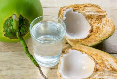 Air Kelapa: Minuman Segar Kaya Manfaat untuk Kesehatan