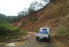 Ganti Rugi Selesai, Pembangunan Jalan Baru Talang Ratu Dimulai 2026