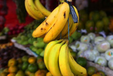 4 Pengobatan Alami untuk Asam Lambung yang Menyakitkan